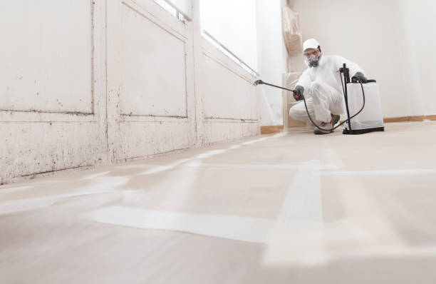 24/7 Emergency Basement Mold Remediation experts in Stevenson, MD
