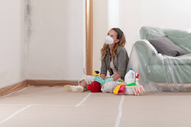 Reliable Basement Mold Remediation contractor in Stevenson, MD by Car Mold Remediation